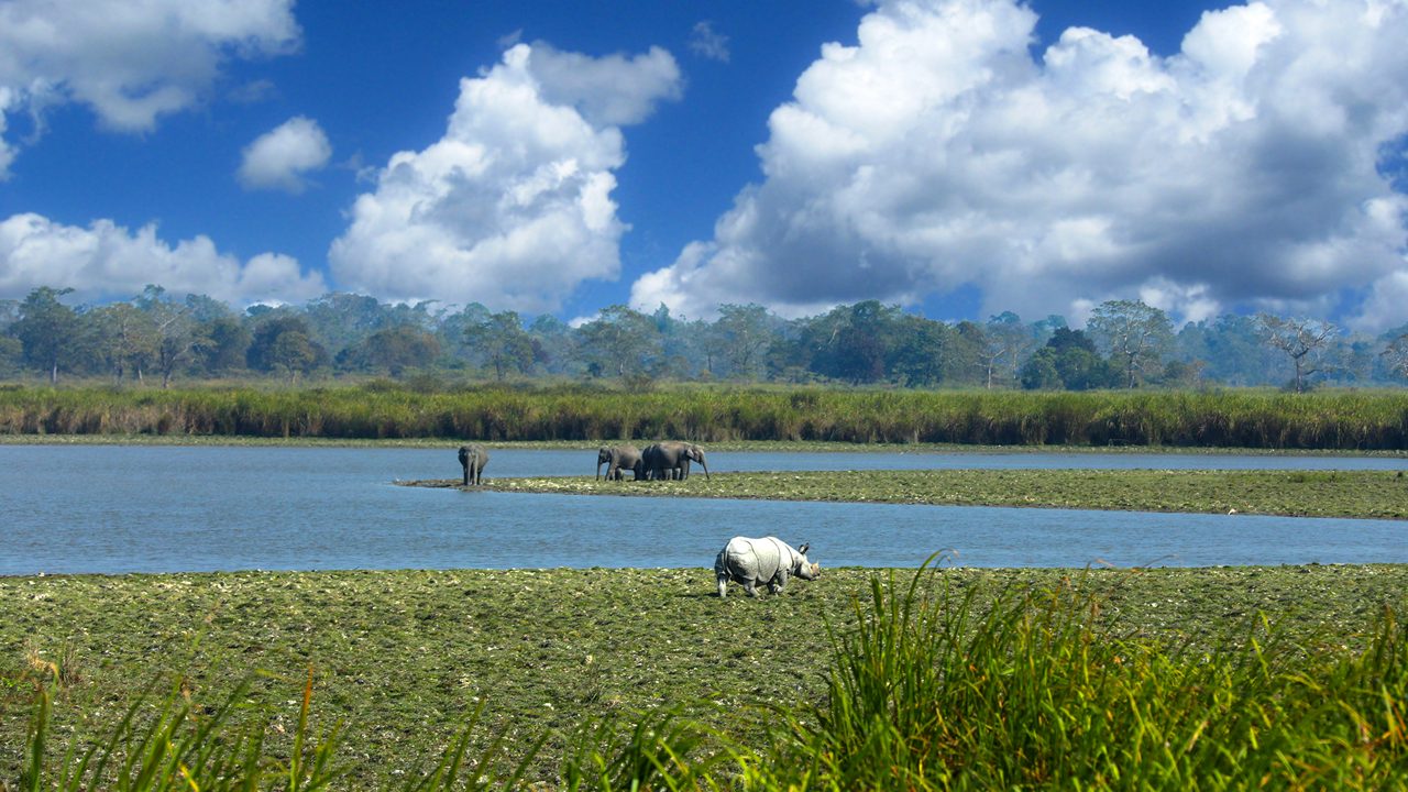 Assam