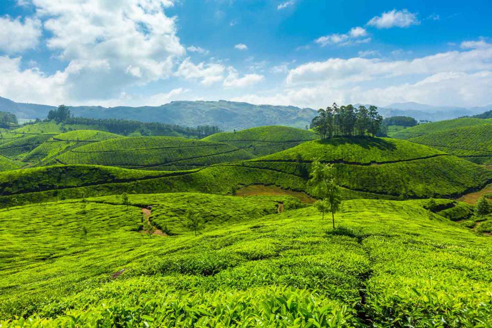 Munnar
